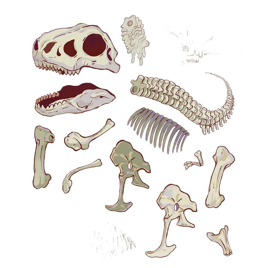 #707 Cute Anatomy Theme DIY 3D Scene Stickers 4 Cute Miniature Scenes