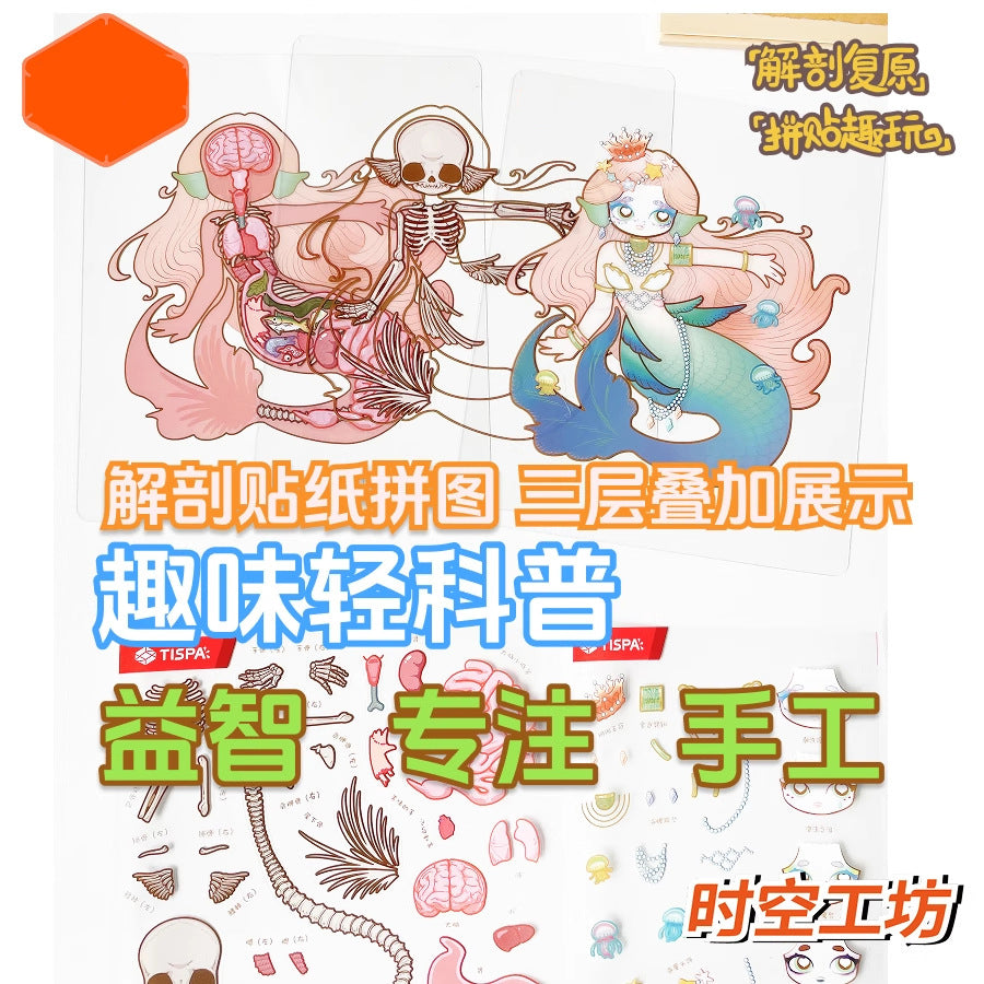 #707 Cute Anatomy Theme DIY 3D Scene Stickers 4 Cute Miniature Scenes